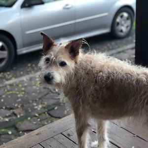 Meet your Posher, Adri